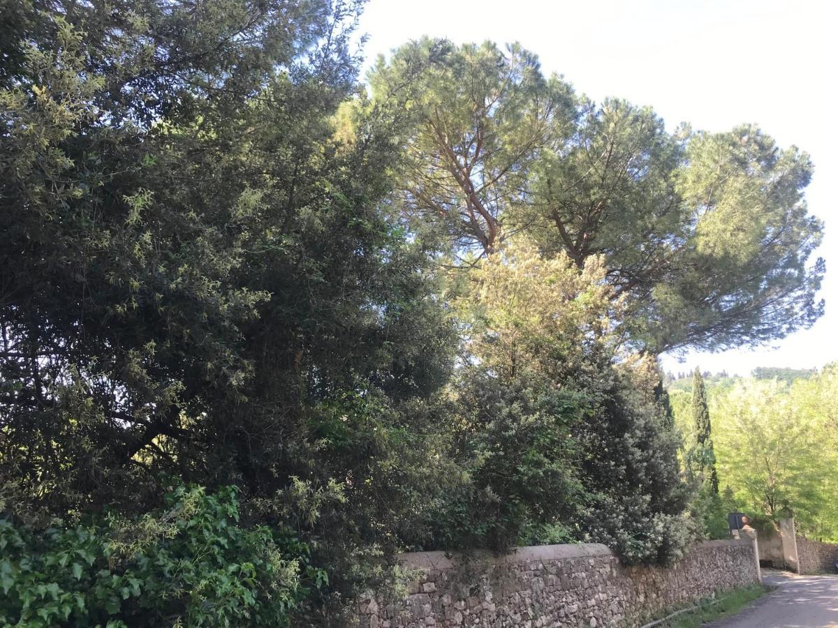 Apartamento Elegante E Spazioso Bilocale In Zona Certosa *